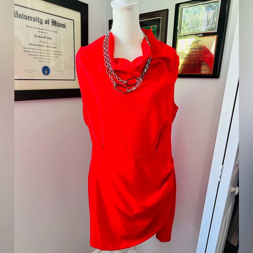 ZARA JUST 30!  One of kind never worn dress.